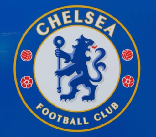 EPL: All completed Chelsea transfers so far in 2022-23